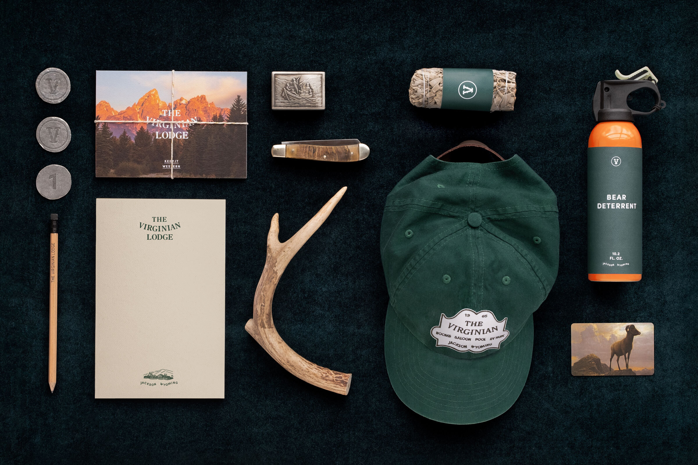 Virginian Case Study 02